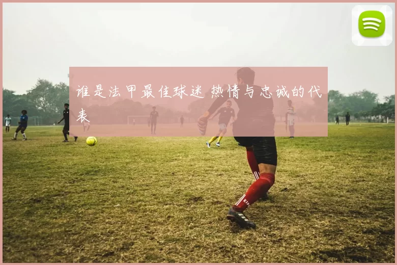 谁是法甲最佳球迷 热情与忠诚的代表