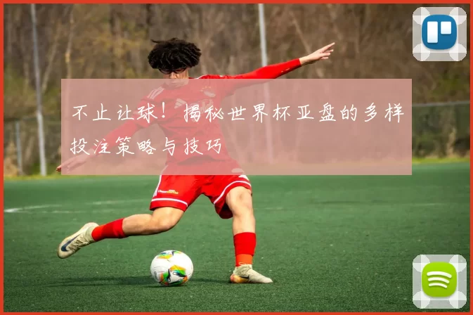 不止让球!揭秘世界杯亚盘的多样投注策略与技巧
