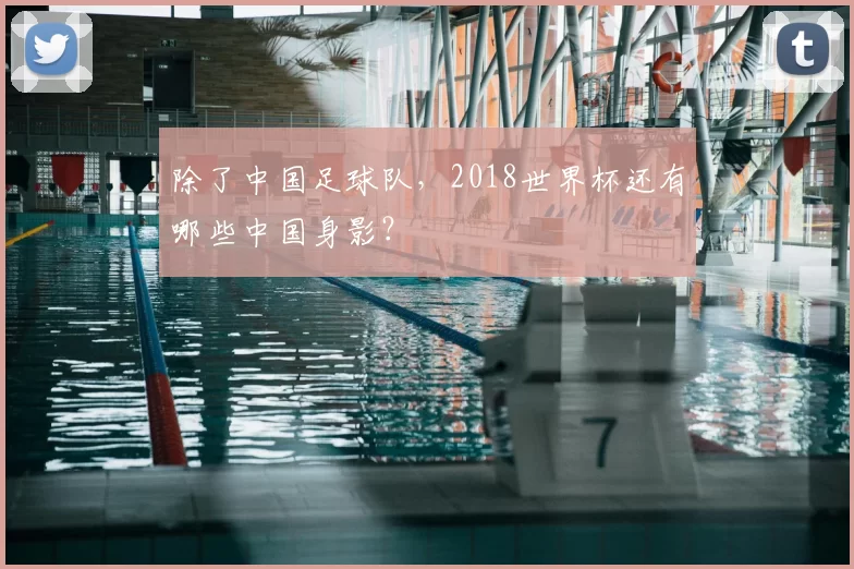 除了中国足球队，2018世界杯还有哪些中国身影？