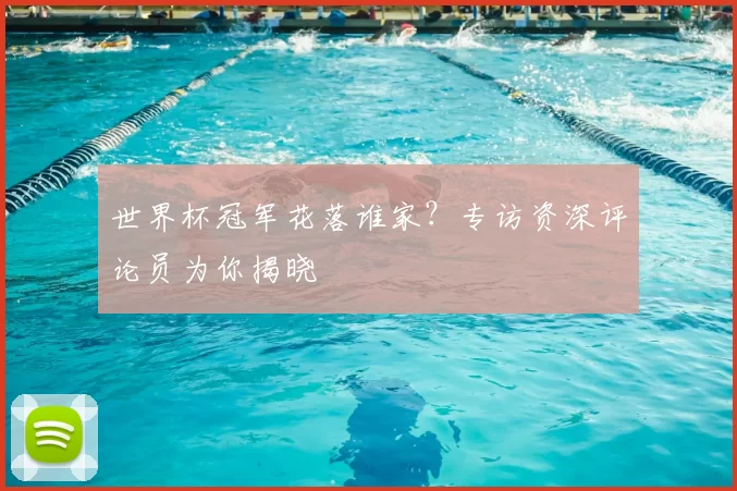 世界杯冠军花落谁家？专访资深评论员为你揭晓