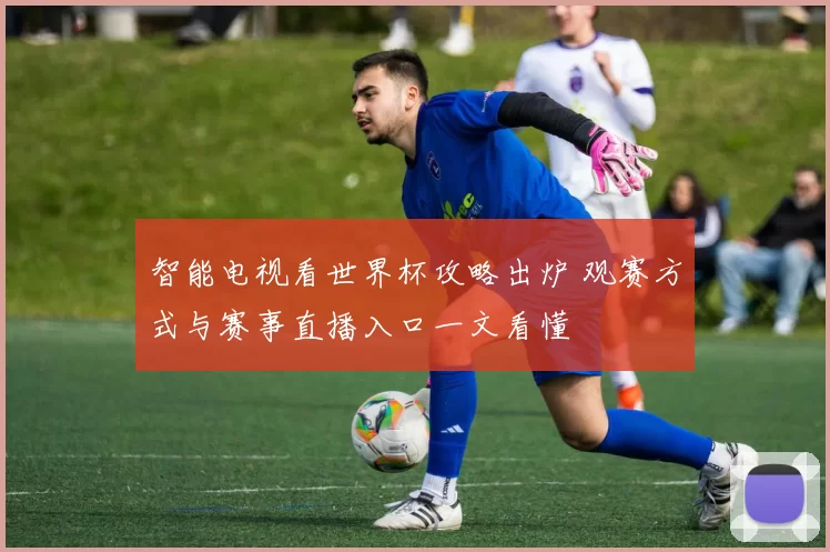 智能电视看世界杯攻略出炉 观赛方式与赛事直播入口一文看懂