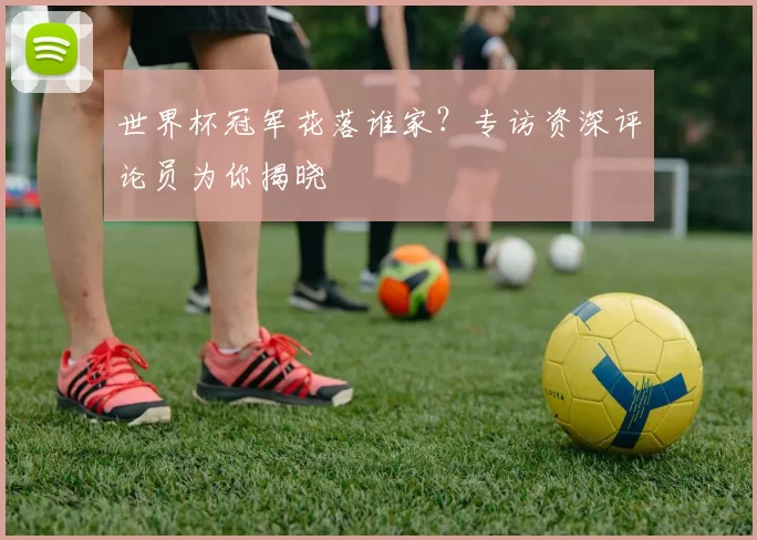 世界杯冠军花落谁家？专访资深评论员为你揭晓