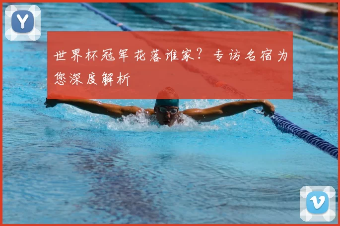世界杯冠军花落谁家？专访名宿为您深度解析