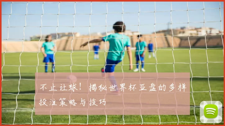 不止让球！揭秘世界杯亚盘的多样投注策略与技巧
