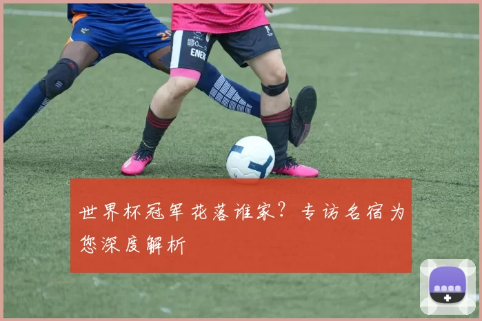 世界杯冠军花落谁家？专访名宿为您深度解析