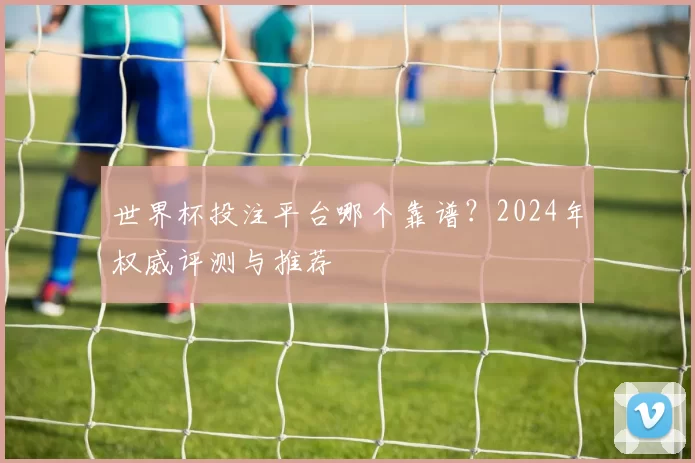 世界杯投注平台哪个靠谱？2024年权威评测与推荐