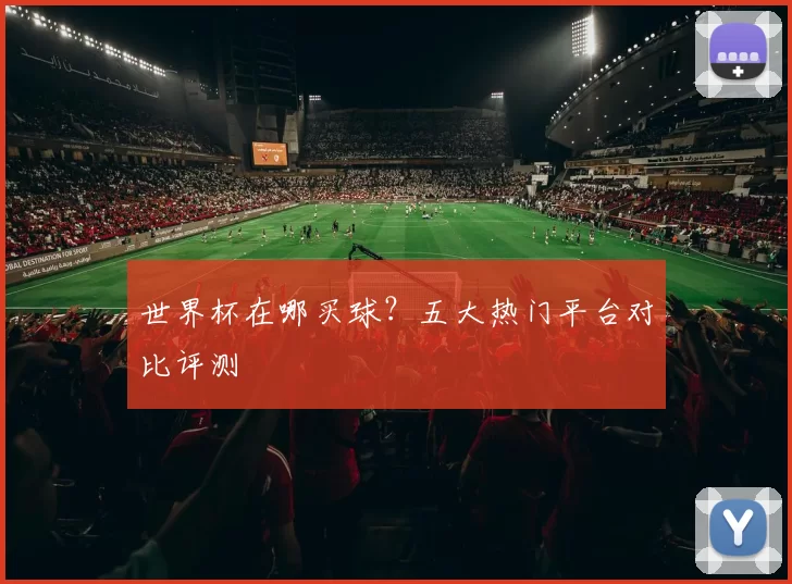 世界杯在哪买球？五大热门平台对比评测