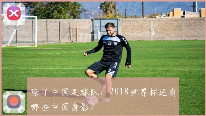 除了中国足球队,2018世界杯还有哪些中国身影?
