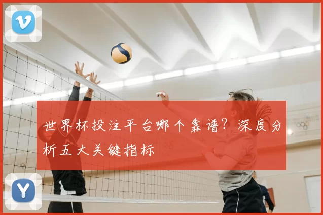 世界杯投注平台哪个靠谱？深度分析五大关键指标