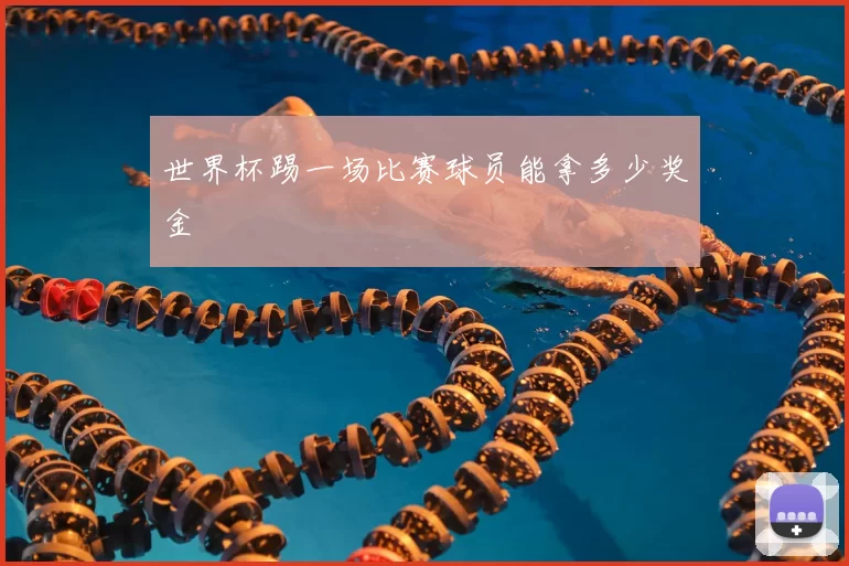 世界杯踢一场比赛球员能拿多少奖金