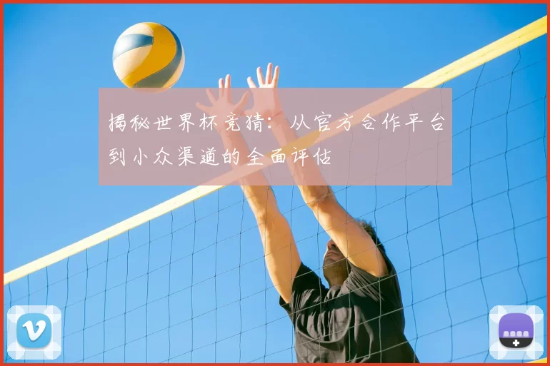 揭秘世界杯竞猜:从官方合作平台到小众渠道的全面评估