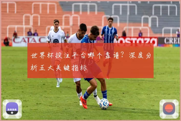 世界杯投注平台哪个靠谱？深度分析五大关键指标